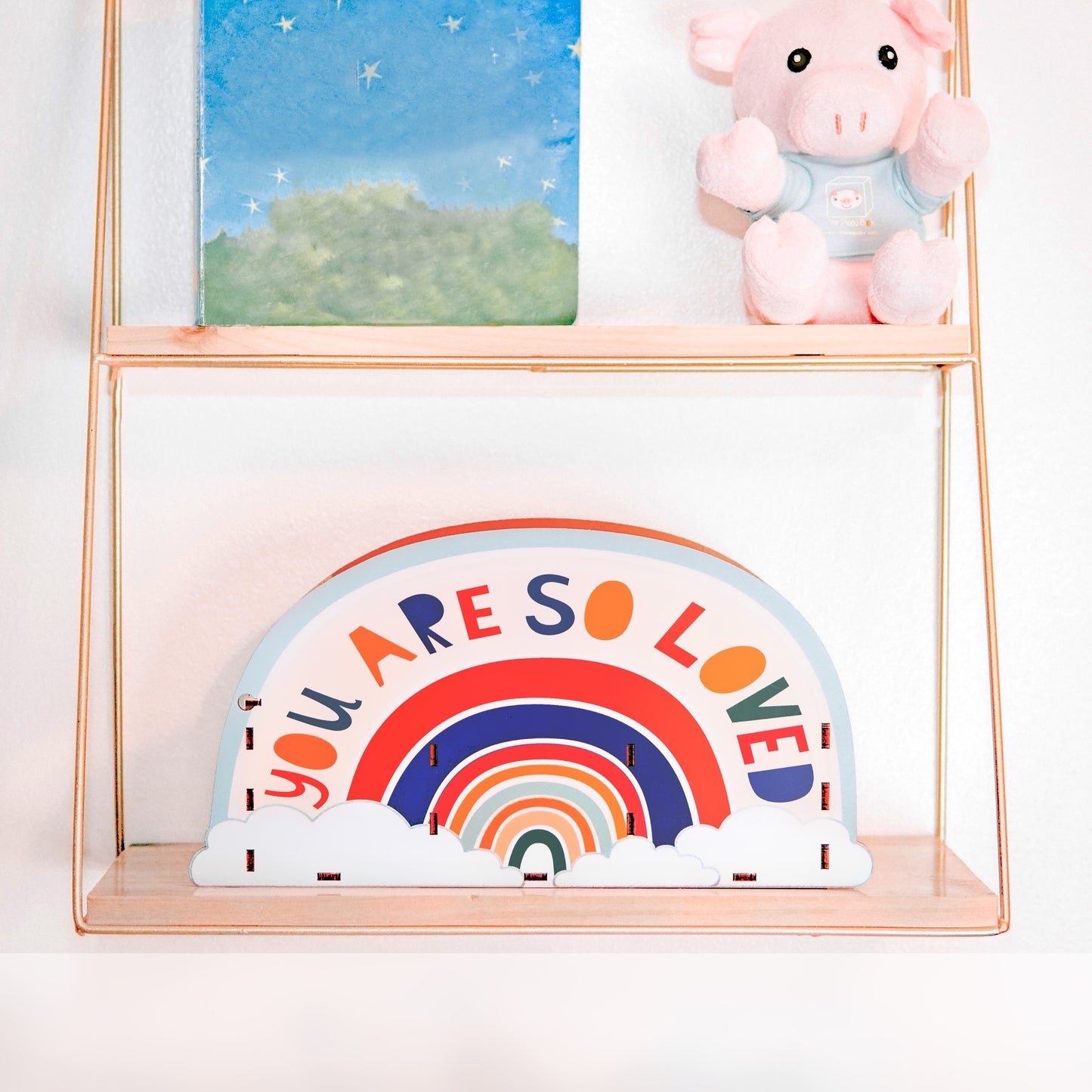 Rainbow DIY Piggy Bank